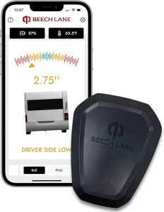 iPhone with wireless thermometer in action