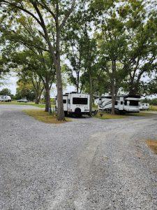 rv camping in the woods at park on whiskey road